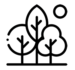 eco trees renewable 1